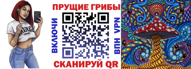 hydra рабочий сайт  Калач  Галлюциногенные грибы Psilocybe 